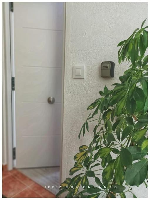 Appartement Atico En Pleno Centro De Jerez Sin Ascensor *